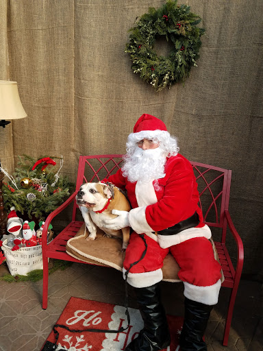 Pet Supply Store «Agway of Middlefield», reviews and photos, 147 Meriden Rd, Middlefield, CT 06455, USA