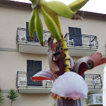 Photo n°4 de l'avis de Ronald.e fait le 16/05/2018 à 13:49 sur le  Hotel San Matteo à Richieri