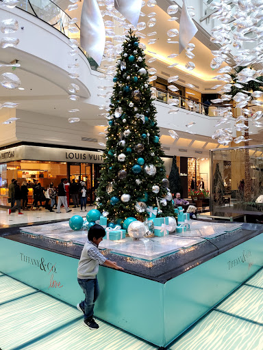 Shopping Mall «Somerset Collection», reviews and photos, 2800 W Big Beaver Rd, Troy, MI 48084, USA