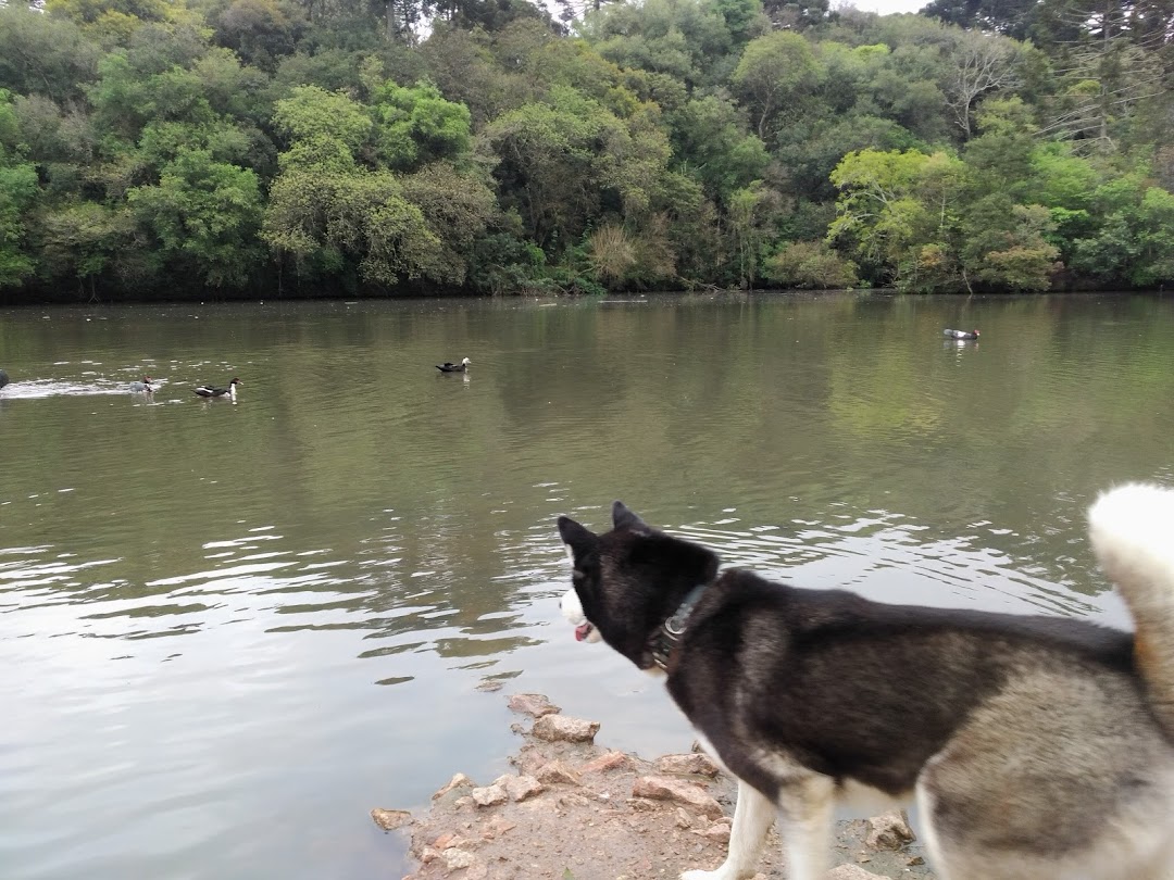 Parque Cachoeira