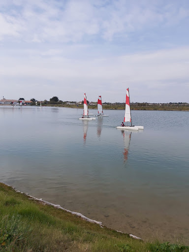 17670 La Couarde-sur-Mer