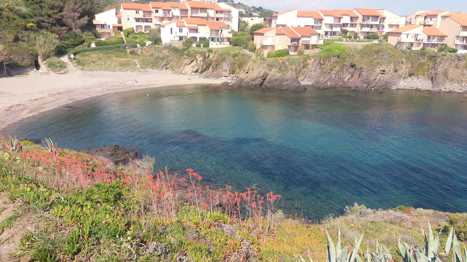 Foto af L'Oli beach med høj niveau af renlighed