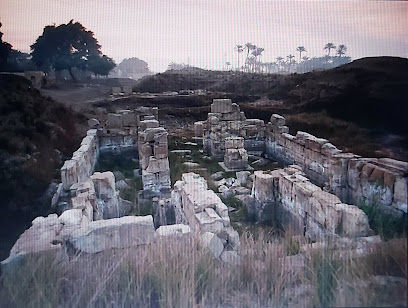 Administration of Tanis Archaeological Site