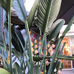 Photo n° 2 de l'avis de vincent.e fait le 30/08/2019 à 18:33 pour Le Faré à Biscarrosse