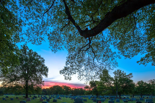 Cemetery «Spring Hill Funeral Home & Cemetery», reviews and photos, 5110 Gallatin Pike S, Nashville, TN 37216, USA