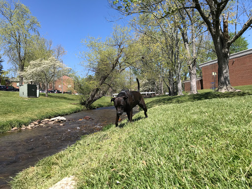 College «Brevard College», reviews and photos