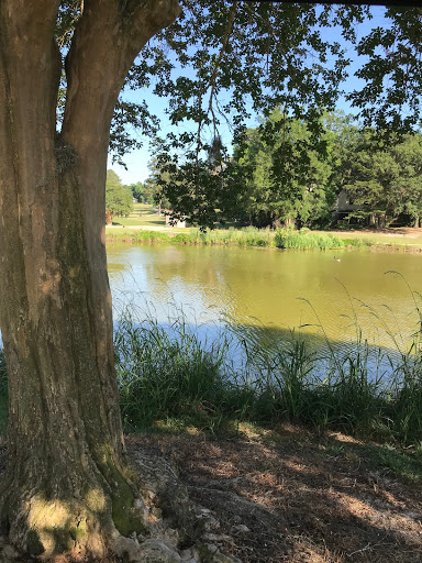 Public Golf Course «Hilaman Golf Course», reviews and photos, 2737 Blair Stone Rd, Tallahassee, FL 32301, USA