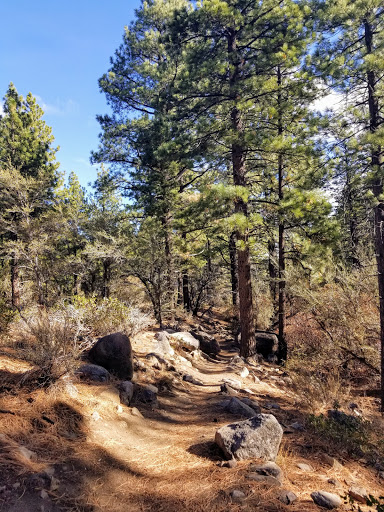 Jones-Whites Creek Trailhead