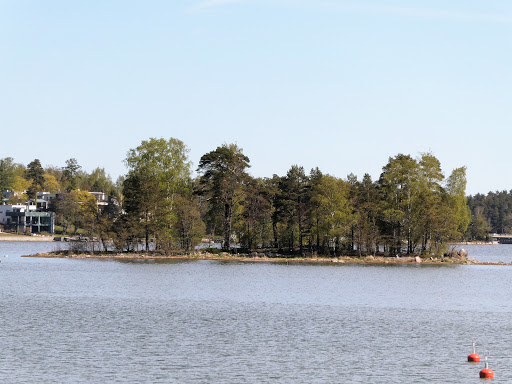 Kalkkipaasi