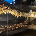 Photo n°10 de l'avis de David.u fait le 01/11/2022 à 14:17 sur le  Aquarium Wilhelmshaven incl. Prehistoric Sea Museum à Wilhelmshaven