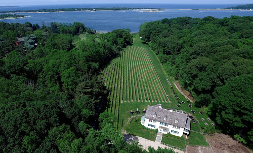 Vineyard «Harmony Vineyards», reviews and photos, 169 Harbor Rd, St James, NY 11780, USA