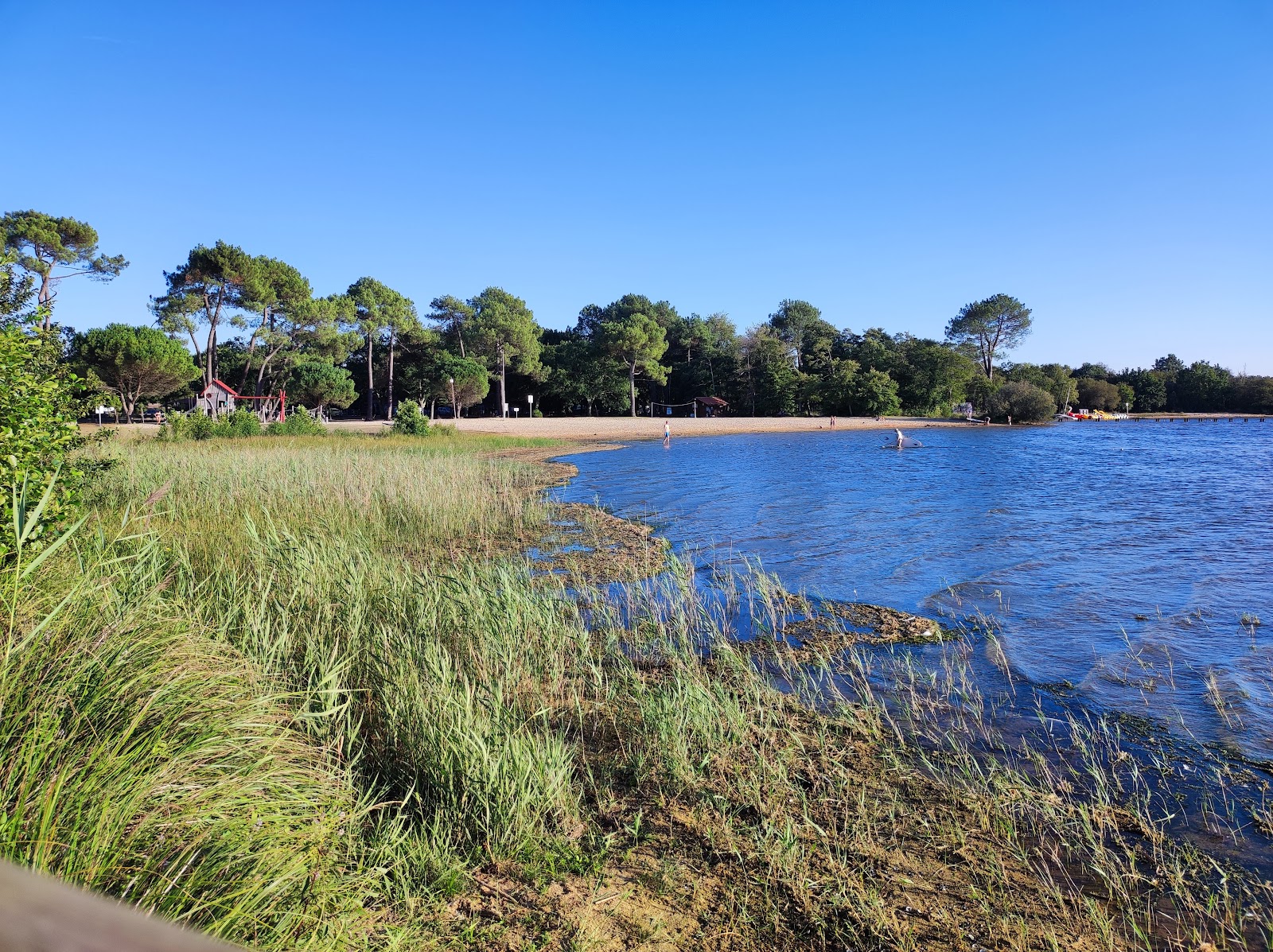 Plage Ste Eulalie en Born'in fotoğrafı çok temiz temizlik seviyesi ile