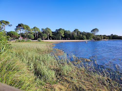 Plage Ste Eulalie en Born'in fotoğrafı çok temiz temizlik seviyesi ile