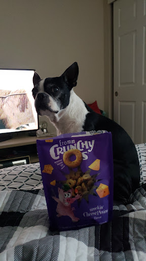 Pet Supply Store «Mud Bay», reviews and photos, 2540 NW 188th Ave, Hillsboro, OR 97124, USA