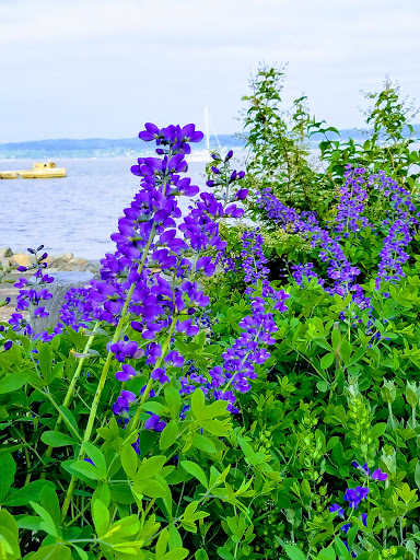 Memorial Park «Veterans Memorial Park», reviews and photos, 15 Cedar St, Nyack, NY 10960, USA