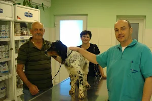 Veterinary clinic Vet Center Ltd. image