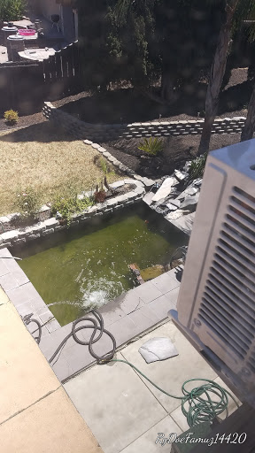 Pet Supply Store «Petco Animal Supplies», reviews and photos, 1150 Concord Ave #160, Concord, CA 94520, USA