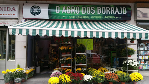 O agro dos Borrajo - Ourense