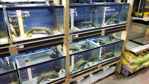 Pet Store «Fins Feathers Paws & Claws», reviews and photos, 436 Main St, Harleysville, PA 19438, USA