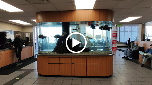 Toyota Dealer «Maplewood Toyota», reviews and photos, 2873 Maplewood Dr, Maplewood, MN 55109, USA