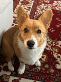 The Howling Heart - Photo 5 - Car repair in , Jacksonville