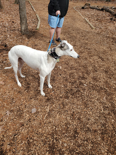 Nature Preserve «Hemlock Bluffs Nature Preserve», reviews and photos, 2616 Kildaire Farm Rd, Cary, NC 27511, USA