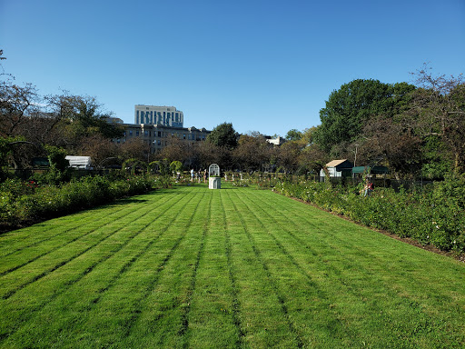 Park «Back Bay Fens», reviews and photos, 100 Park Dr, Boston, MA 02215, USA