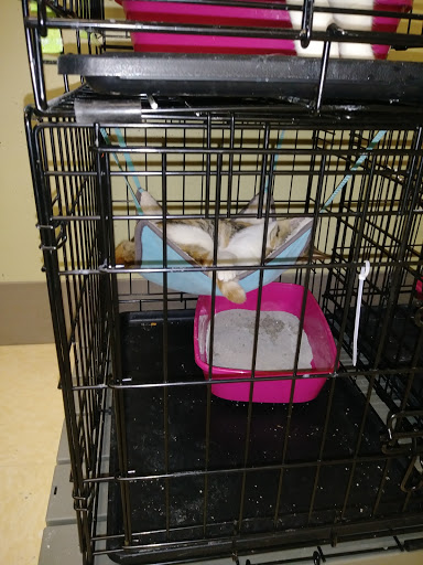 Pet Supply Store «Petco Animal Supplies», reviews and photos, 300 Quaker Ln #3, Warwick, RI 02886, USA