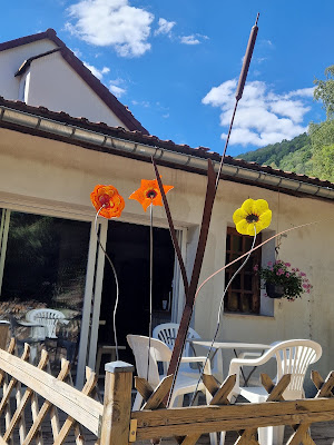 Le Cincle à La Bresse