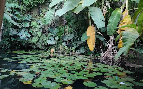 Tropical Cave image