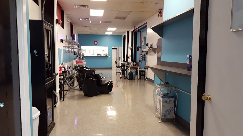 Salon NeXt 44266