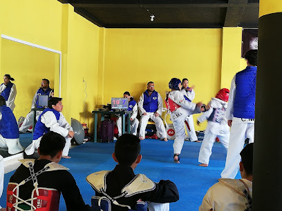 Ciencias Marciales Internacionales Taekwondo Popular