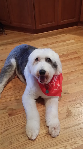 Pet Supply Store «PetSmart», reviews and photos, 1705 Mall of Georgia Blvd, Buford, GA 30519, USA