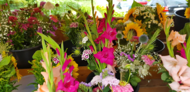 Rezensionen über Blumen selber schneiden in Reinach - Markt