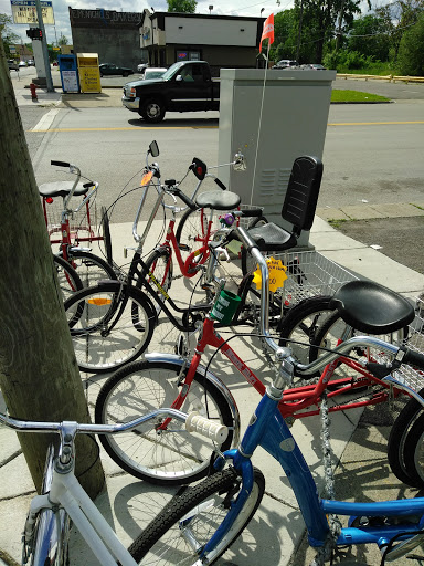 Hardware Store «Louis Ace Hardware», reviews and photos, 917 E McNichols Rd, Detroit, MI 48203, USA