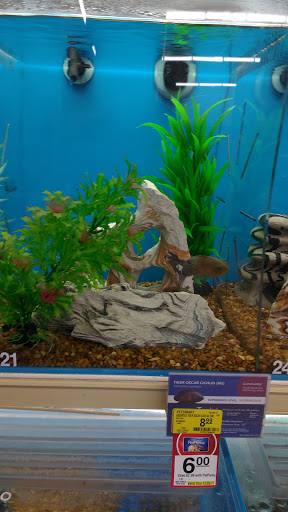 Pet Supply Store «PetSmart», reviews and photos, 3950 28th St SE, Kentwood, MI 49512, USA