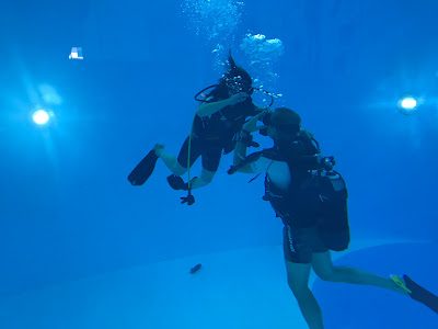 NEMO33 Genève à Chêne-en-Semine
