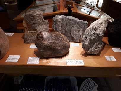 Mineralogy and Petrology Museum