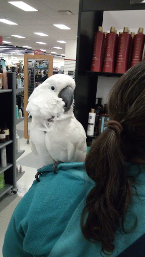 Department Store «Nordstrom Rack The Mall of Georgia Crossing», reviews and photos, 3205 Woodward Crossing Blvd, Buford, GA 30519, USA