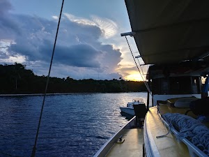 Hobe Sound Nature Center - photo 63
