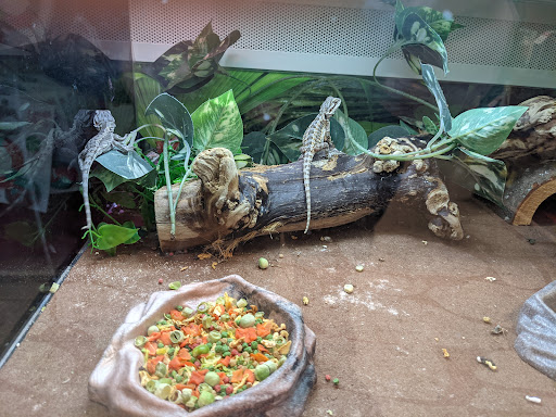 Pet Supply Store «PetSmart», reviews and photos, 777 S Willow St, Manchester, NH 03103, USA