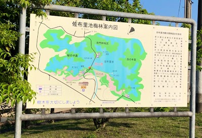 自然林地区