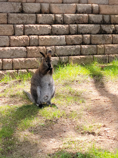 Zoo «Cheyenne Mountain Zoo», reviews and photos, 4250 Cheyenne Mountain Zoo Rd, Colorado Springs, CO 80906, USA