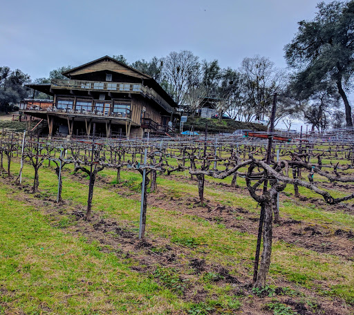 Vineyard «Gold Hill Vineyard», reviews and photos, 5660 Vineyard Ln, Placerville, CA 95667, USA