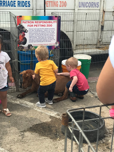 School «Lighthouse Private School», reviews and photos, 5600 Horizon Rd, Rockwall, TX 75032, USA