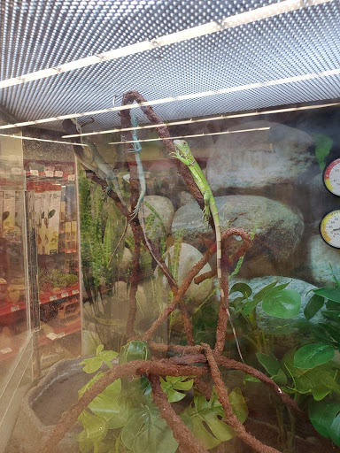 Pet Supply Store «Petco Animal Supplies», reviews and photos, 3165 Alpine Ave NW g, Walker, MI 49544, USA