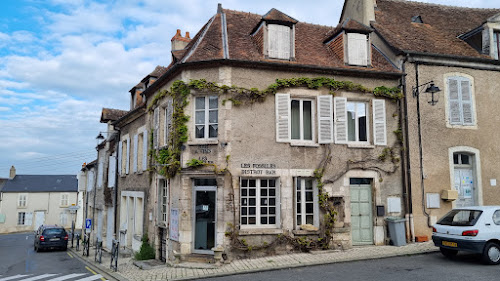 Les Fossiles à Sancerre