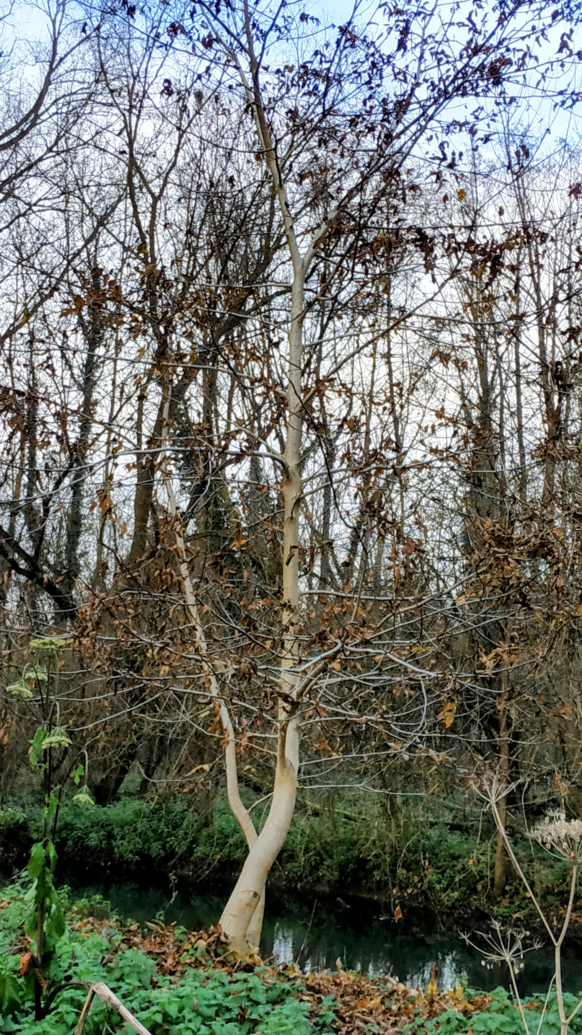 Photo n° 7 de l'avis de The.a fait le 12/12/2022 à 16:29
