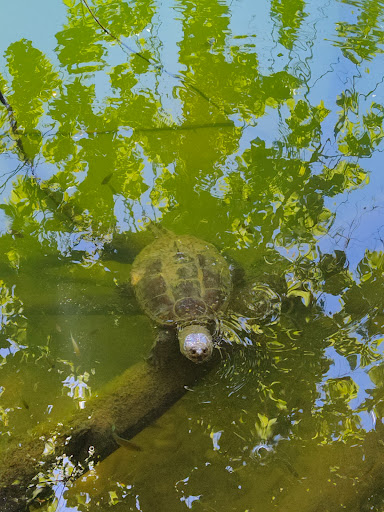 Nature Preserve «Fountain Rock Park & Nature Center», reviews and photos, 8511 Nature Center Place, Walkersville, MD 21793, USA