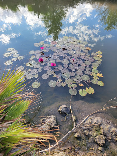 Park «Evelyn Hallman Park», reviews and photos, 1900 N College Ave, Tempe, AZ 85281, USA